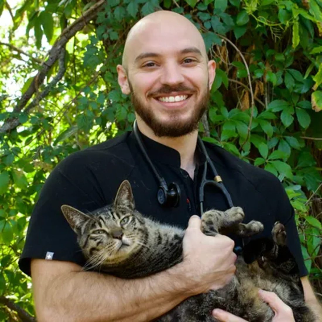 Smiling bald veterinarian holding a tabby cat outdoors