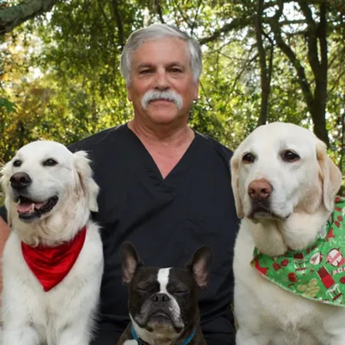Veterinarian with gray mustache surrounded by three dogs outdoors
